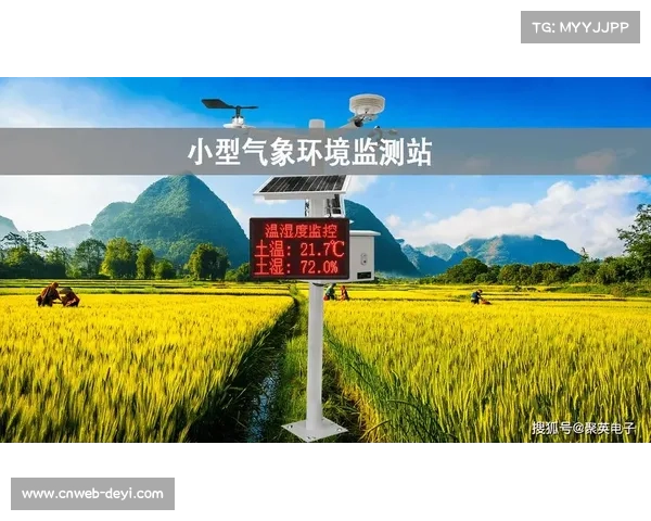 传感器网络实时监测场地状况，预防运动损伤